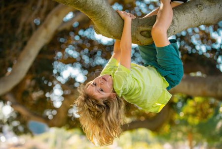 Photo for Cute blonde child boy hangs on a tree branch. Summer holidays, little boy climbing a tree. Upside down. Kid boy playing and climbing a tree and hanging branch - Royalty Free Image