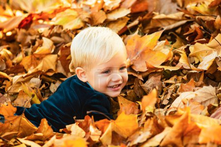 Photo for Kids in autumn park on yellow leaf background. Child lying on the golden leaf. Autumn dream. Kid dreams on autumn nature. Childhood dream. Daydreamer child. Dreams and imagination. Dreamy kids face - Royalty Free Image