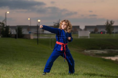 Photo for Kid boy practicing martial arts outdoor. Sport karate kids. Little boy wearing kimono doing karate in park. Child training martial arts. Little martial arts fighter. Martial arts for kids - Royalty Free Image