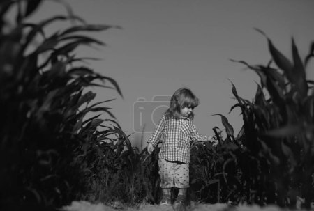 Téléchargez les photos : Bébé mignon sur herbe verte en été. Bébé sur le champ de maïs, à l'extérieur. Enfant s'amusant avec l'agriculture et le jardinage des légumes, la récolte. Petit enfant drôle sur la nature. Petit agriculteur - en image libre de droit