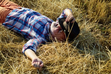 Téléchargez les photos : Vieux fermier dans le foin. Senior se détendre sur un foin de paille sur une journée d'été. Grand-père couché sur une botte de foin à la campagne. Homme mûr se reposant au champ de céréales - en image libre de droit