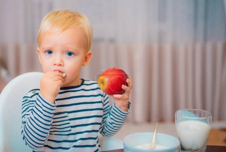 Photo for Baby nutrition. Eat healthy. Toddler having snack at home. Child eat porridge. Kid cute boy blue eyes sit at table with plate and food. Healthy nutrition. Healthy food. Boy cute baby eating breakfast. - Royalty Free Image