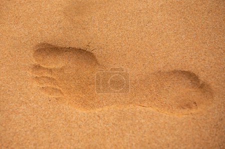 Téléchargez les photos : Empreintes pieds nus dans le sable du désert. Empreinte de pied dans la plage de sable, gros plan - en image libre de droit