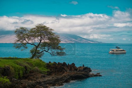 Téléchargez les photos : Paysage plage tranquille. Hawaï, paradis tropical hawaïen - en image libre de droit