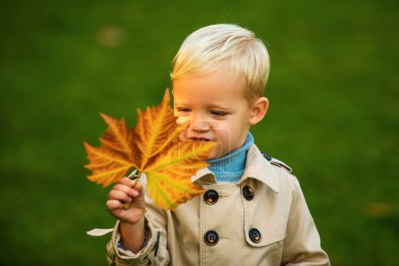 Foto de Lindo niño sosteniendo hojas de otoño en la naturaleza. Niño caminando en el parque de otoño, follaje de otoño - Imagen libre de derechos