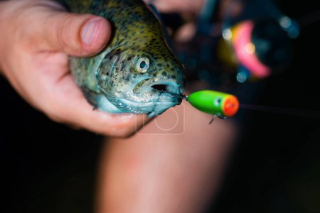 Foto de Pesca - relajarse y disfrutar de hobby. Cabeza de pescado y anzuelo. Coge un pez. Trucha de pescado en un gancho. Trucha. Pesca - Imagen libre de derechos