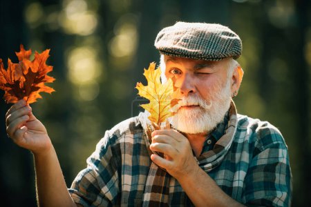 Photo for Senior man on a walk in a forest in an autumn nature holding leaves. Senior man walking in the park in autumn. Smiling senior man holding yellow autumn leaves at park - Royalty Free Image
