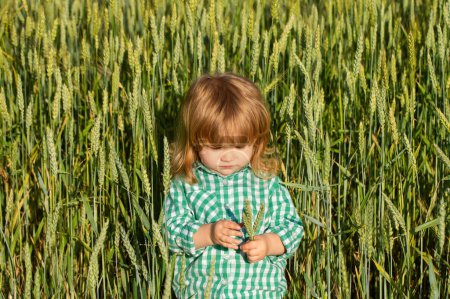 Foto de Retrato de un niño pequeño en un campo de trigo al aire libre en la granja. Pequeño granjero. Niño en campo de trigo de otoño - Imagen libre de derechos