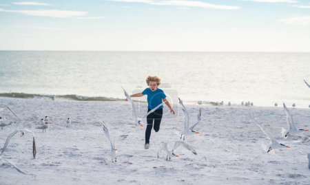 Foto de Niño jugando en la playa de verano. El niño corre hacia un grupo de aves en la playa del mar. Chico corriendo hacia los pájaros - Imagen libre de derechos