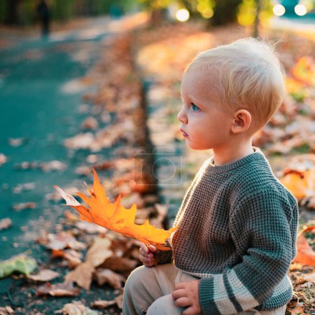 Foto de Hermoso niño en un suéter gris en la naturaleza de otoño, ambiente rural acogedor. El niño se sienta en las hojas de otoño en el parque. Niño feliz con el pelo rubio juega en la hermosa noche otoñal soleada - Imagen libre de derechos
