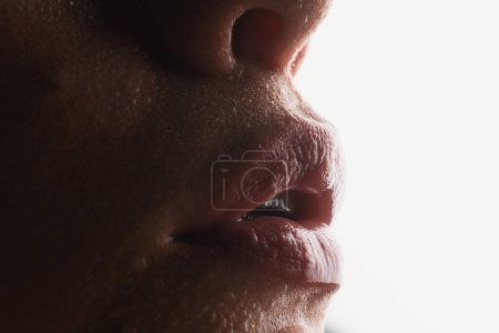 Photo for Girl with sexy wet lips. Lip and skincare. Hygienic lipstick. Herpes treatment - Royalty Free Image