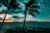 Tropical beach scene. Sea view from summer beach with sky. Coastal landscape Poster #662323966
