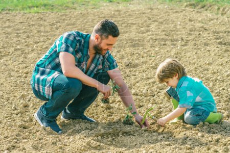 Téléchargez les photos : Père enseignant le jardinage à son fils. Fils aidant son père à planter l'arbre tout en travaillant ensemble dans le jardin - en image libre de droit