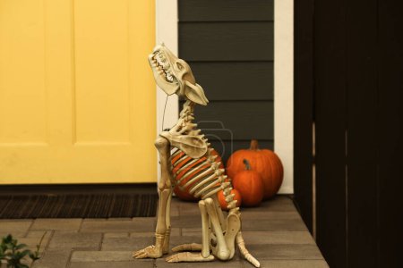 Halloween-Dekoration mit Skeletten und Kürbissen. Halloween-Skelett eines gruseligen Hundes