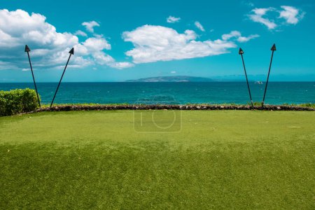Téléchargez les photos : Paysage naturel à Hawaï, plage tropicale avec palmier en mer cristalline - en image libre de droit