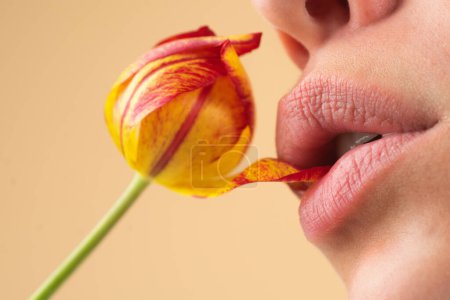 Foto de Labios rellenos. Labios naturales con tulipán. Sexy boca de mujer en tulipán, labio macro. Cuidado y ternura. Primer plano hermosos labios con flor de tulipanes. Los labios sexy se pegan. Tacto labial sensual, lápiz labial de bálsamo - Imagen libre de derechos