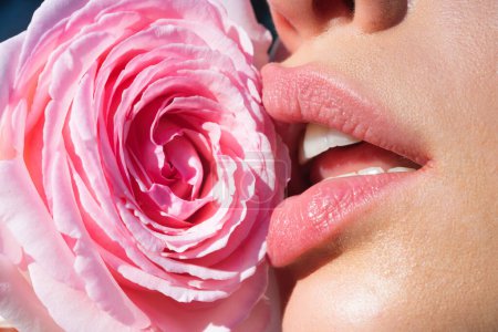Téléchargez les photos : Les lèvres dodues lèchent la rose. Lèvres naturelles avec rose. Femme sexy bouche sur rose, macro lèvre. Soin et tendresse. Gros plan lèvres sexy. Les lèvres sexy collent. Touche sensuelle des lèvres, rouge à lèvres baume - en image libre de droit