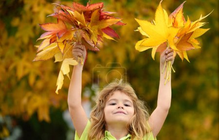 Téléchargez les photos : Autumn Child portrait in fall yellow leaves. Little kid boy play with maple leaf in autumnal park outdoor. October season, romantic kids dream - en image libre de droit