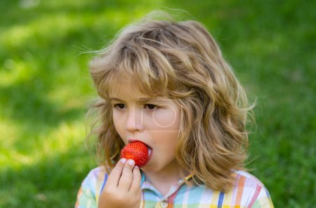 Photo for Summer cute kid face. Close up kids face with strawberry in mouth. Child eat strawberry berries in the summer. Kid is picking berry strawberry in the garden - Royalty Free Image