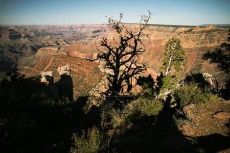 Foto de Landscape Canyon national park. Red rocks canyon in Utah - Imagen libre de derechos