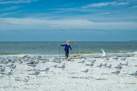 Photo for Excited kid running on beach. Child run on the seagulls on the beach, summer time. Cute little boy chasing birds near sea on summer day - Royalty Free Image