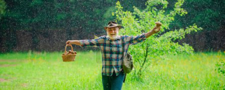 Foto de Sénior con setas en lluvia primaveral, estandarte. Setas en el bosque, el abuelo cazando setas sobre el fondo del bosque de verano. Jubilación. Hombre sonriente recogiendo setas - Imagen libre de derechos