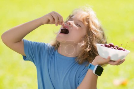 Photo for Cherry in kids mouth. Child eat cherries in the summer. Kid is picking cherries in the garden - Royalty Free Image