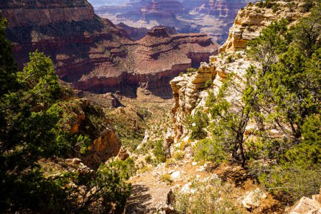 Foto de Parque Nacional del Gran Cañón, Borde Norte. Parque Nacional Landscape Canyon. Cañón de rocas rojas en Utah. Cañón paisaje desierto - Imagen libre de derechos