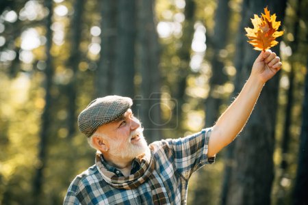 Téléchargez les photos : Homme âgé souriant tenant des feuilles jaunes d'automne au parc. Un aîné se promène dans un parc en automne. Grand-père s'amuser dans le parc d'automne - en image libre de droit
