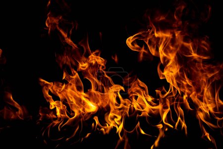 Photo for Flame fires. Burn lights on a black background. Fire flames on black background. Abstract fire flame background - Royalty Free Image