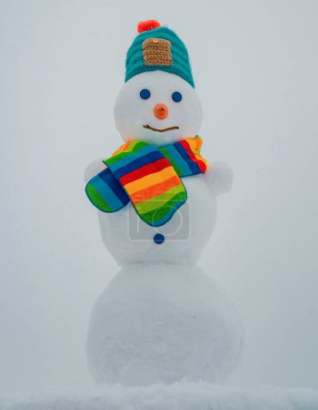 Photo for Snow man in winter. Christmas snowman. New year element. Winter clothes, knitted hat and scarf - Royalty Free Image
