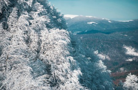 Téléchargez les photos : Fond hivernal de neige et de givre avec espace libre pour votre décoration. Montagnes froides et enneigées d'hiver - en image libre de droit
