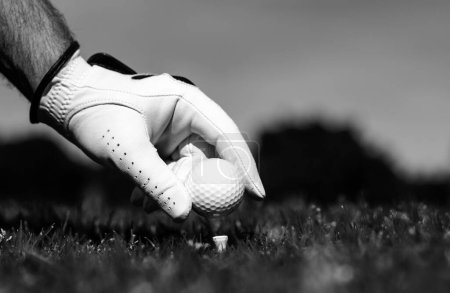 Photo for Golfer man with golf glove playing on a golf course. Hand putting golf ball on tee in golf course - Royalty Free Image