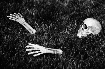 Téléchargez les photos : Squelette d'Halloween pour bannière Halloween, fond brumeux avec espace de copie - en image libre de droit