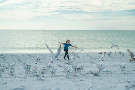 Foto de Niña despreocupada. Niño persiguiendo aves cerca de la playa de verano. Chico excitado corriendo en la playa con aves gaviotas voladoras - Imagen libre de derechos