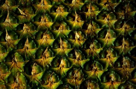 Téléchargez les photos : Pineapple pattern. Texture of pineapple skin. Patterned fruits background - en image libre de droit