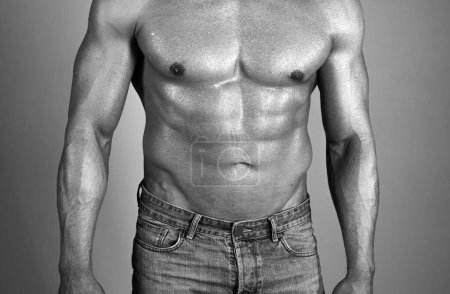 Photo for Bare torso of a muscular guy - Royalty Free Image