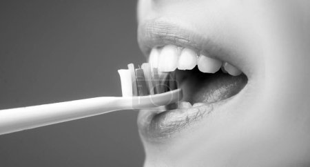 Téléchargez les photos : Femme bouche brossant les dents. Beau sourire de jeune femme aux dents blanches saines. Fond isolé. Soins dentaires - en image libre de droit