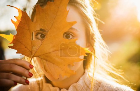 Foto de Otoño. Cara graciosa. Mujer sosteniendo hojas de arce amarillo y ocultando ojos - Imagen libre de derechos