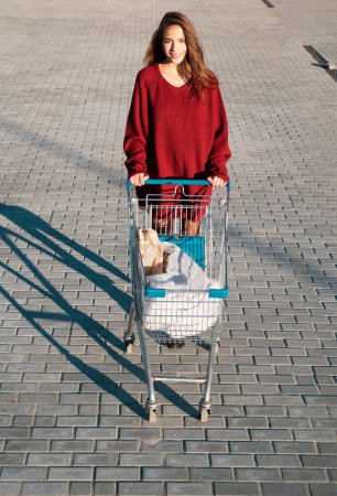 Foto de Consumismo, venta y descuento. Mujer feliz con carrito de compras al aire libre - Imagen libre de derechos