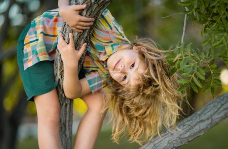 Téléchargez les photos : Enfant garçon grimpant haut arbre dans le parc d'été. Portrait d'un mignon garçon assis sur l'arbre, grimpant à un arbre. Garçon actif jouant dans le jardin. Concept de style de vie enfants - en image libre de droit