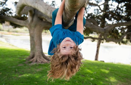 Téléchargez les photos : Petit garçon sur une branche d'arbre. Escalade et pendaison enfant. Portrait d'un bel enfant dans le parc au milieu des arbres. Sport d'enfant extrême. Un enfant grimpe un arbre. - en image libre de droit