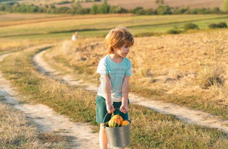 Téléchargez les photos : Bébé mignon garçon travaillant à la ferme en plein air. Enfant agriculteur dans la ferme avec récolte à la campagne. Plantation dans les champs. concept d'agriculteur hild - en image libre de droit