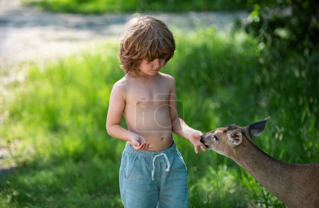 Foto de El niño alimenta ciervos cervatillos en el parque. Niño bonito con animales salvajes al aire libre. Concepto de adaptación infantil - Imagen libre de derechos
