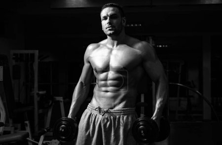 Foto de Hombre en el gimnasio. Retrato de hombre atlético con mancuernas. Hombre sin camisa con los músculos torso, en el gimnasio - Imagen libre de derechos