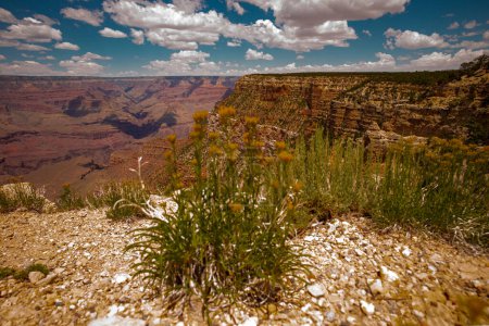 Foto de Borde Norte. Parque Nacional Landscape Canyon. Cañón de rocas rojas en Utah - Imagen libre de derechos