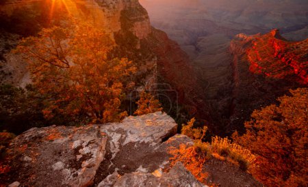 Photo for Grand Canyon north rim at golden sunset, Arizona. Canyon National Park. View of a desert mountain. Famous american hiking place. Rock canyon panoramic landscape - Royalty Free Image