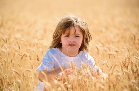 Photo for Little boy with blond hairs having fun in wheat field in summer - Royalty Free Image
