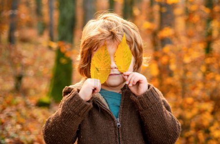 Foto de El niño se cubre los ojos con una hoja de arce amarillo. Retrato de niño de otoño. Otoño retrato al aire libre de hermoso niño feliz caminando en el parque o el bosque en caliente Ropa de otoño - Imagen libre de derechos