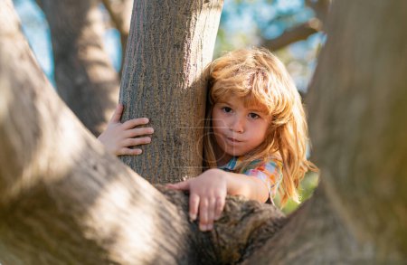 Téléchargez les photos : Jeune enfant blond garçon grimpant arbre. Joyeux enfant jouant dans le jardin grimpant sur l'arbre. Des gosses drôles. Concept d'enfance - en image libre de droit
